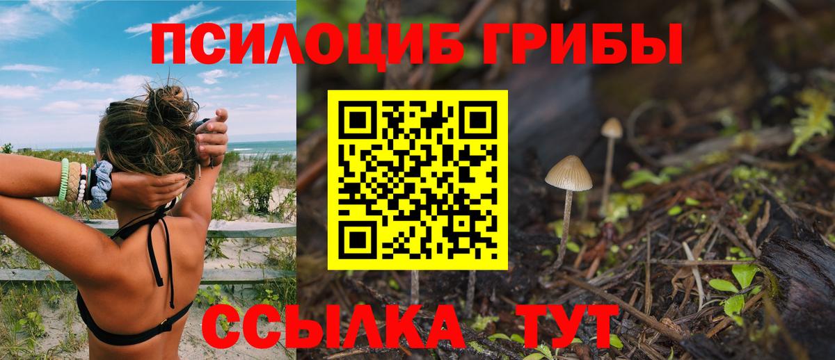 Псилоцибиновые грибы Psilocybe  Галлюциногенные грибы мухоморы  Ухта  Вход с VPN 